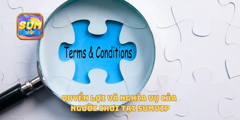 Quyền lợi và nghĩa vụ của người chơi